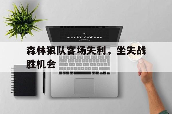 官方登录入口地址-森林狼球队