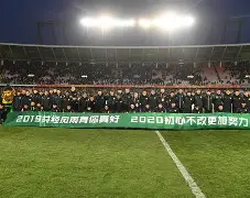 游戏模拟器APP下载-北京国安主场最大失利