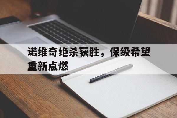 游戏模拟器APP下载-诺维奇吧